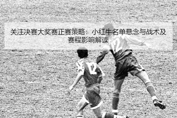 guan-zhu-jue-sai-da-jiang-sai-zheng-sai-ce-lve-xiao-hong-niu-ming-dan-xuan-nian-yu-zhan-shu-ji-sai-cheng-ying-xiang-jie-2-775.jpg